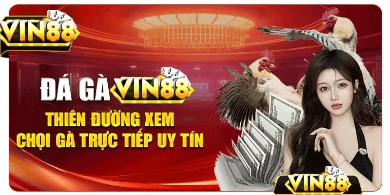 Các thể loại đá gà Vin88 nổi tiếng 